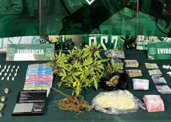 Valparaíso: Detienen a ocho personas en Puertas Negras por tráfico de drogas