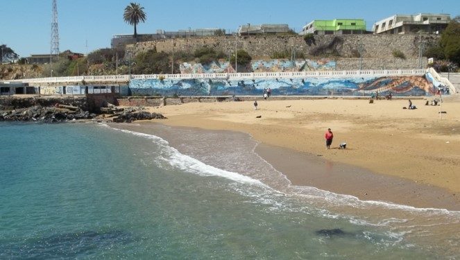 Valparaíso: Buzo fallece en playa Las Torpederas