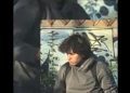 Joven que desmembró a perro que estaba muerto en Curicó quedó en libertad