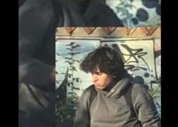 Joven que desmembró a perro que estaba muerto en Curicó quedó en libertad