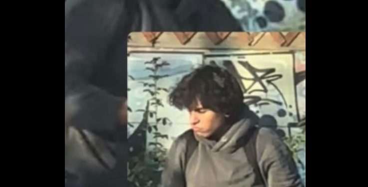 Joven que desmembró a perro que estaba muerto en Curicó quedó en libertad