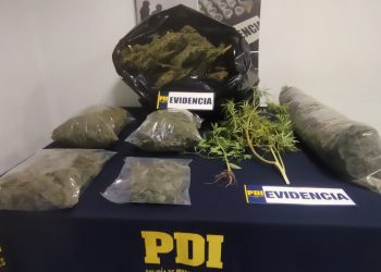 PDI captura a «agricultor narco» en Llay Llay