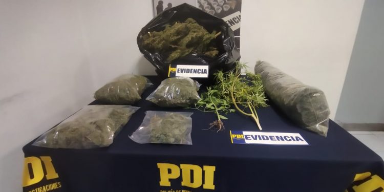 PDI captura a «agricultor narco» en Llay Llay