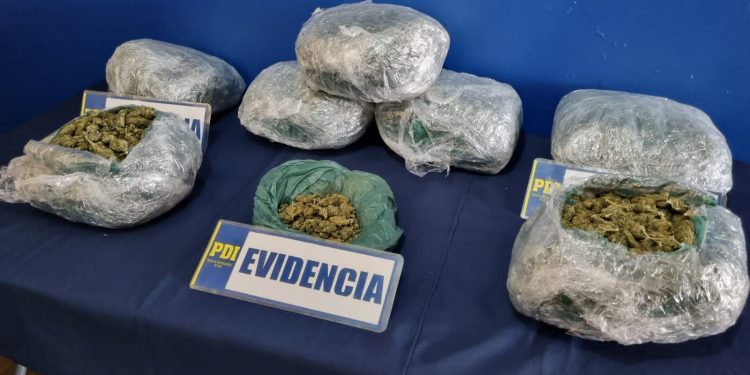 PDI Los Andes desarticula banda que distribuía droga en la zona central