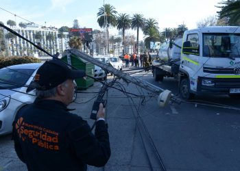 Municipio de Viña del Mar buscará responsabilidades por camión que botó 7 postes
