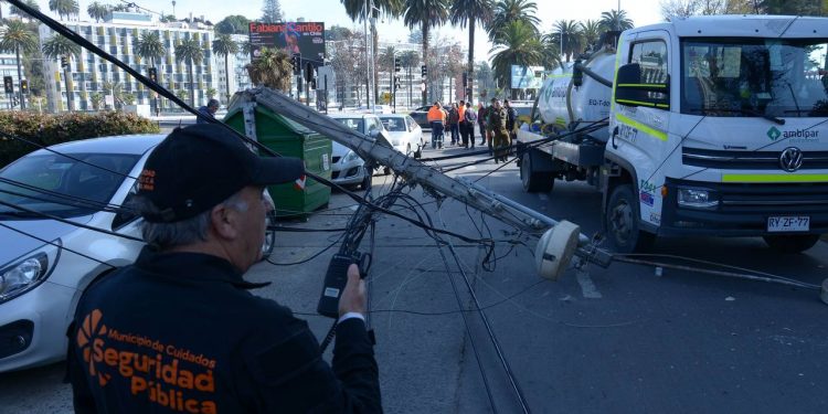 Municipio de Viña del Mar buscará responsabilidades por camión que botó 7 postes