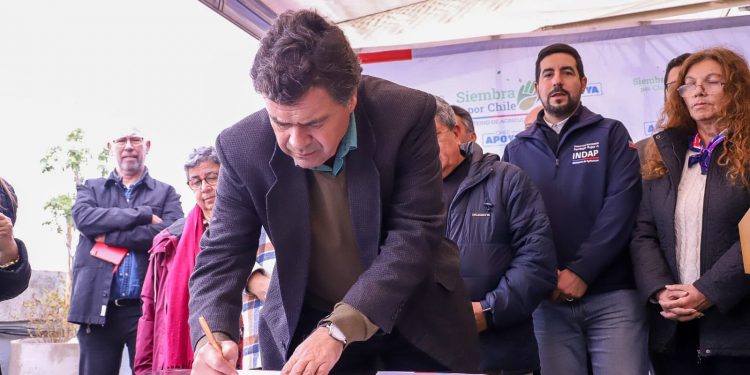 Gobierno declara emergencia agrícola desde Valparaíso al Biobío