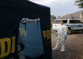 Detienen a sujeto que estaría implicado en asesinato en El Melón