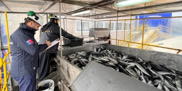 Sernapesca conmemora día internacional contra la pesca ilegal