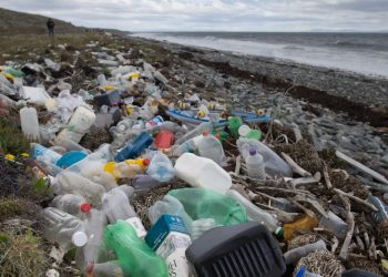 Día Mundial del Medio Ambiente: por un planeta con menos plásticos