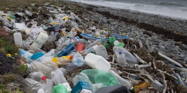 Día Mundial del Medio Ambiente: por un planeta con menos plásticos