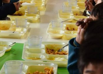Viña del Mar: Denuncian que alumnos no recibieron colaciones por fecas de ratones