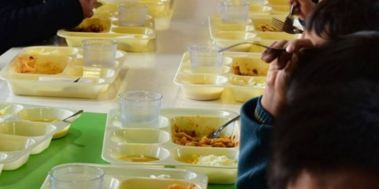 Viña del Mar: Denuncian que alumnos no recibieron colaciones por fecas de ratones