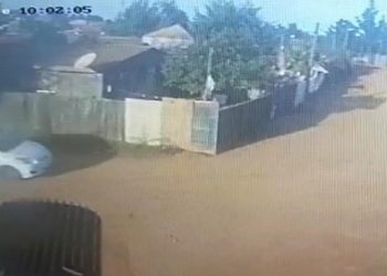 Detienen a pistolero de Forestal Alto que asesinó a joven