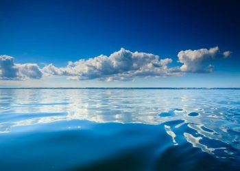 [Opinión] Claudia Rojo: «Día mundial de los océanos»