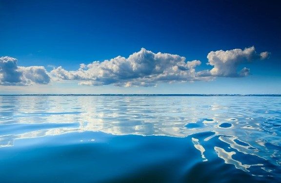 [Opinión] Claudia Rojo: «Día mundial de los océanos»