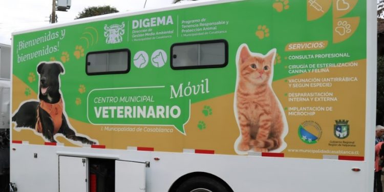 Gobierno Regional invierte 121 millones para clínica móvil veterinaria en Casablanca