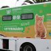 Gobierno Regional invierte 121 millones para clínica móvil veterinaria en Casablanca