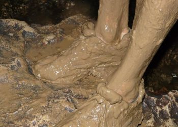 Inundaciones en el centro-sur de Chile: ¿cómo contrarrestar los riesgos de infecciones por contacto con aguas residuales?