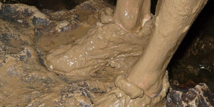 Inundaciones en el centro-sur de Chile: ¿cómo contrarrestar los riesgos de infecciones por contacto con aguas residuales?