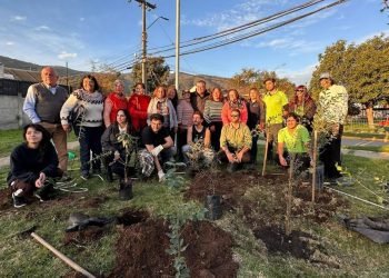 Limache: Inicia programa de implementación de bosque nativo en zona urbana