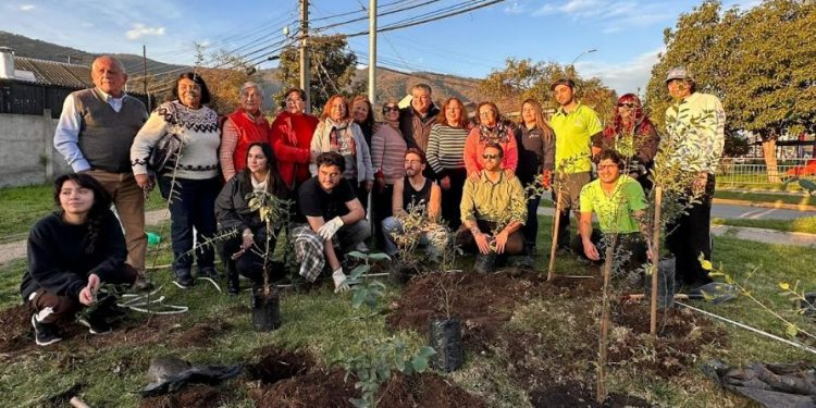 Limache: Inicia programa de implementación de bosque nativo en zona urbana