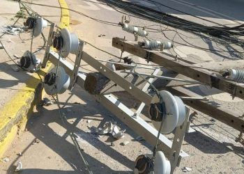 Core Nataly Campusano oficia a Superintendencia por caída de postes en Avenida Alemania