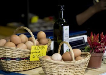 Valparaíso: Municipalidad despliega plan «locales conectados»