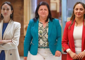 Diputadas RN piden al gobierno implementar teletrabajo para madres y extender posnatal de emergencia