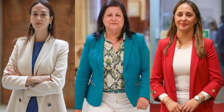 Diputadas RN piden al gobierno implementar teletrabajo para madres y extender posnatal de emergencia