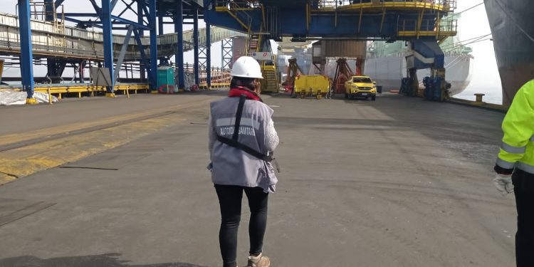 Seremi de Salud Valparaíso ha cursado 22 sumarios sanitarios a empresas del polo industrial