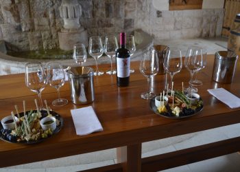 Ocho viñas del valle de Casablanca ofrecen una atractiva oferta de actividades para el invierno