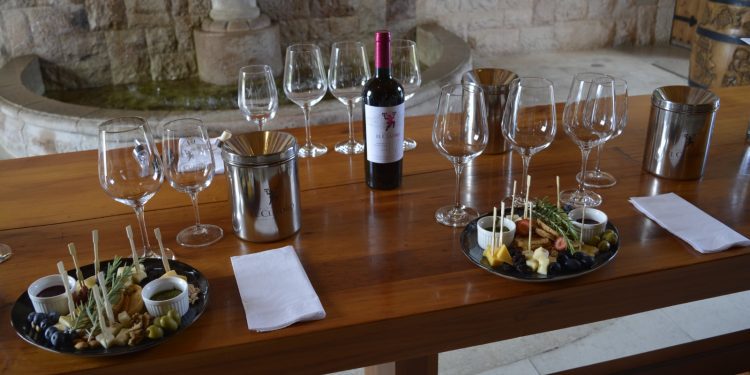 Ocho viñas del valle de Casablanca ofrecen una atractiva oferta de actividades para el invierno