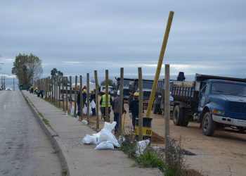 Viña del Mar: Realizan cierre perimetral de terreno desalojado