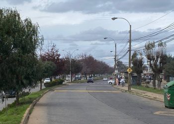 Viña del Mar: Renovarán 190 luminarias en Miraflores