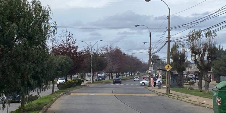 Viña del Mar: Renovarán 190 luminarias en Miraflores