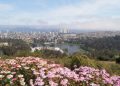 Viña del Mar será sede de expoindustrial de Minería