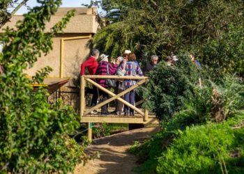 Viña del Mar: Finalizan mejoras en Parque Los Almendros