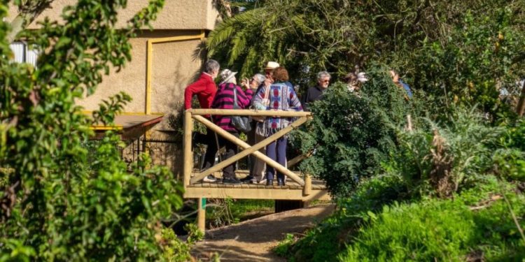 Viña del Mar: Finalizan mejoras en Parque Los Almendros