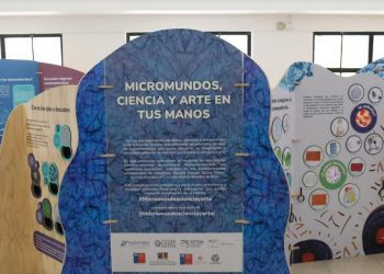 Investigadora USM presenta exposición itinerante sobre mundos microscópicos