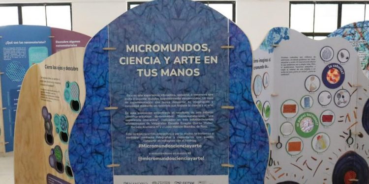 Investigadora USM presenta exposición itinerante sobre mundos microscópicos