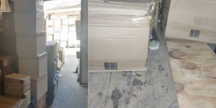 Denuncian presencia de fecas de ratones en farmacia del Hospital de Quilpué