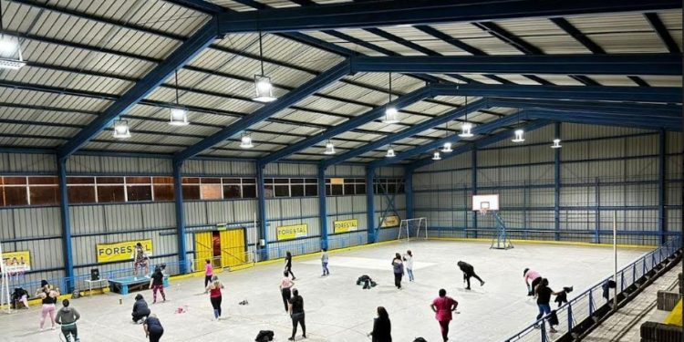 Viña del Mar: Realizan recambio de luminarias en recintos deportivos