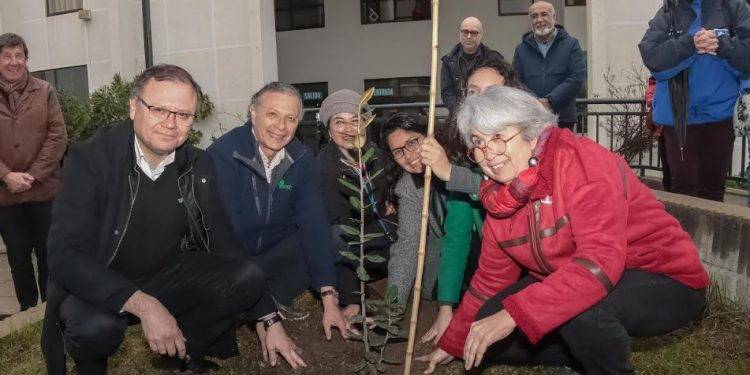 Dan inicio al proyecto Árboles por la Memoria