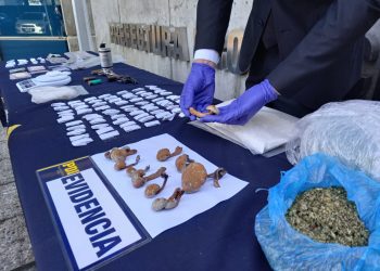 Operativo PDI en Valparaíso: 8 detenidos, cocaína, hongos alucinógenos y armamento incautado