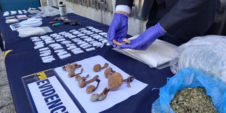 Operativo PDI en Valparaíso: 8 detenidos, cocaína, hongos alucinógenos y armamento incautado