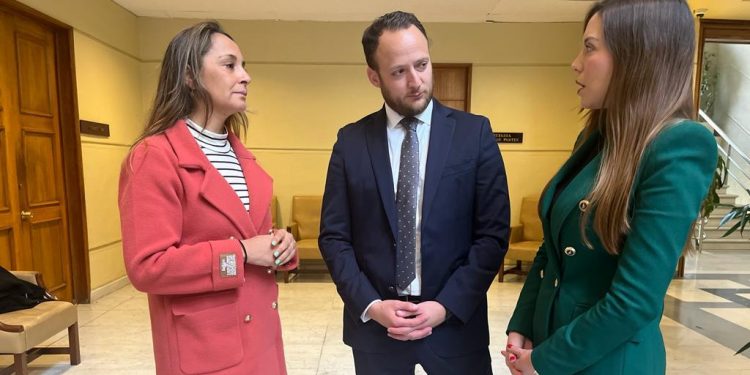 Diputados de Chile Vamos solicitan a Presidente Boric enviar proyecto de ley “Antipitutos”