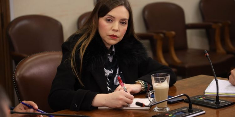 Diputada Flores solicita estrategia especial de seguridad para la región de Valparaíso