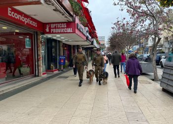 Carabineros realiza 900 fiscalizaciones en primer mes de operativo en calle Valparaíso