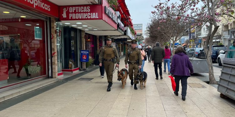 Carabineros realiza 900 fiscalizaciones en primer mes de operativo en calle Valparaíso